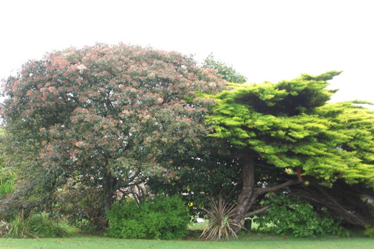 Photo of property in 68 Woodlands Road, Opotiki, 3122