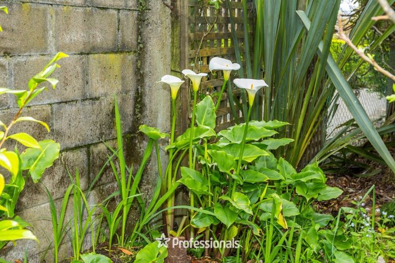 Photo of property in 14 Prouse Grove, Silverstream, Upper Hutt, 5019