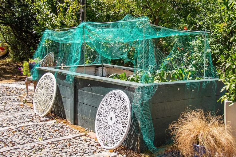 Photo of property in 43 Rhodes Street, Carterton, 5713