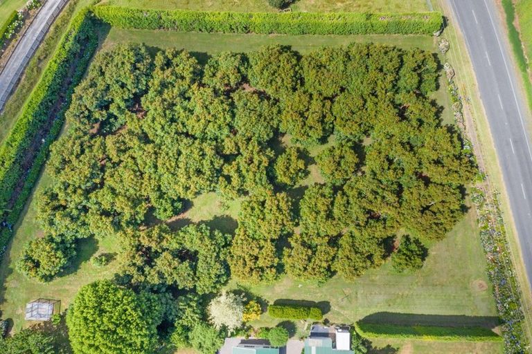 Photo of property in 350 Esdaile Road, Whakamarama, Tauranga, 3180