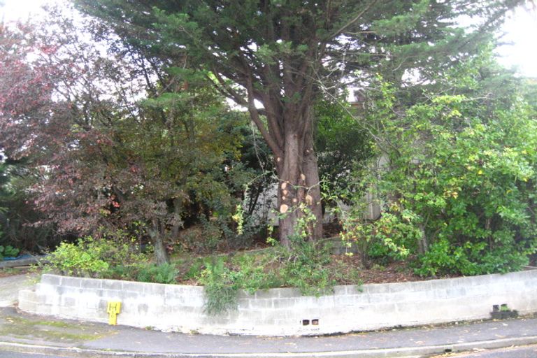 Photo of property in 36 Herron Street, Brockville, Dunedin, 9011