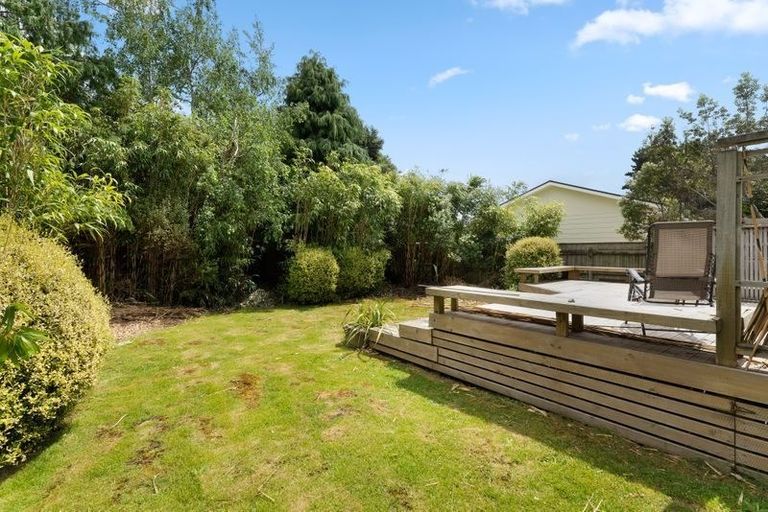 Photo of property in 47a Leinster Avenue, Raumati South, Paraparaumu, 5032