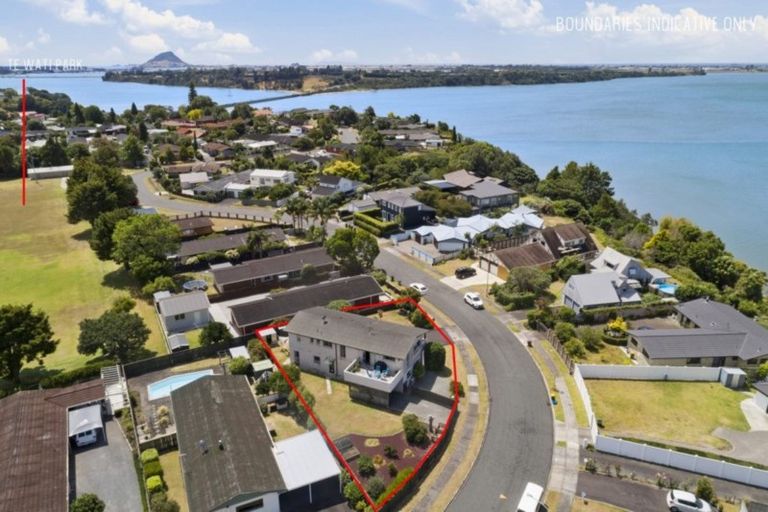 Photo of property in 24 Te Hono Street, Maungatapu, Tauranga, 3112