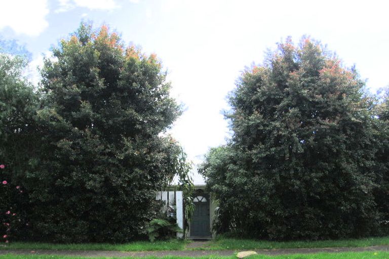 Photo of property in 11 Harrier Street, Parkvale, Tauranga, 3112