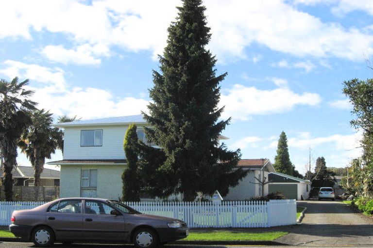 Photo of property in 83 Macarthur Street, Levin, 5510