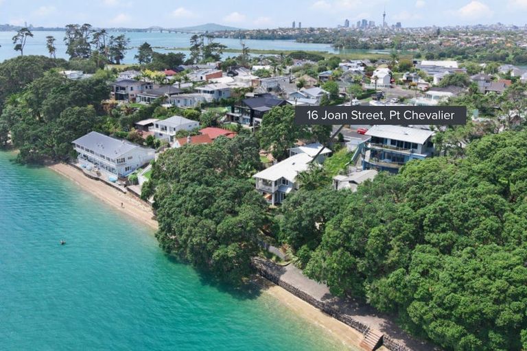 Photo of property in 16 Joan Street, Point Chevalier, Auckland, 1022