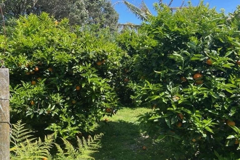 Photo of property in 72 Tirohanga Road, Tirohanga, Opotiki, 3197