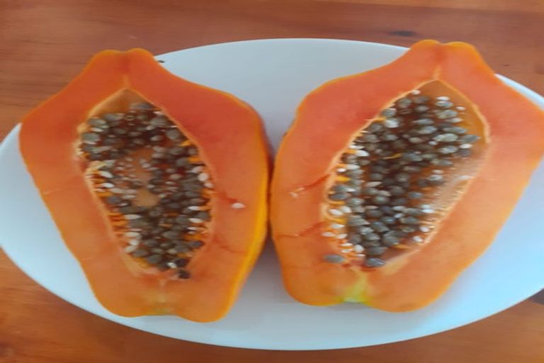 Photo of property in 156 Petley Road, Paparoa, 0571