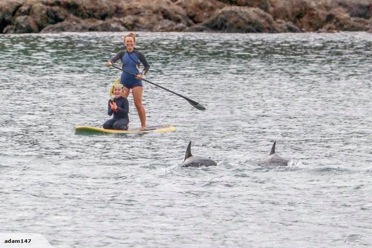 Photo of property in 203 Houghton Bay Road, Houghton Bay, Wellington, 6023