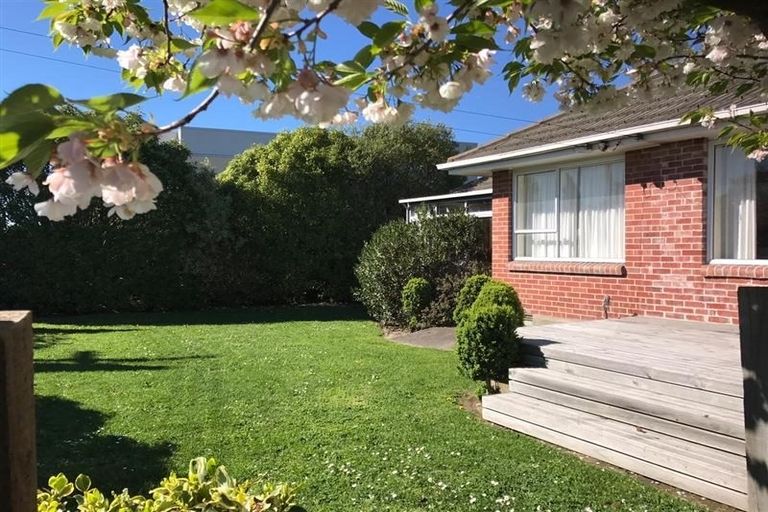 Photo of property in 22 Dinton Street, Russley, Christchurch, 8042