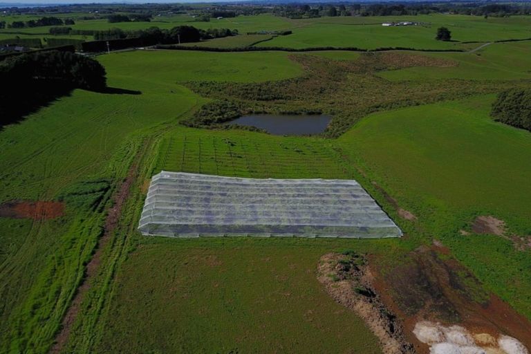 Photo of property in 160 Batty Road, Kingseat, Papakura, 2580