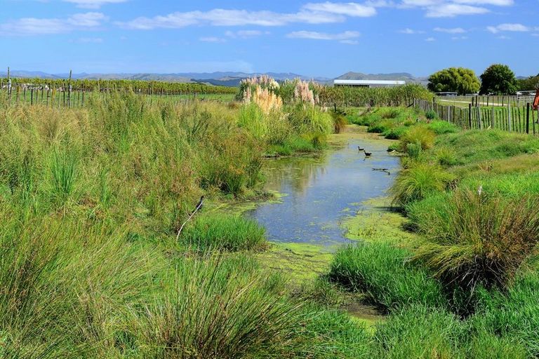 Photo of property in 52 Parker Lane, Makaraka, Gisborne, 4010