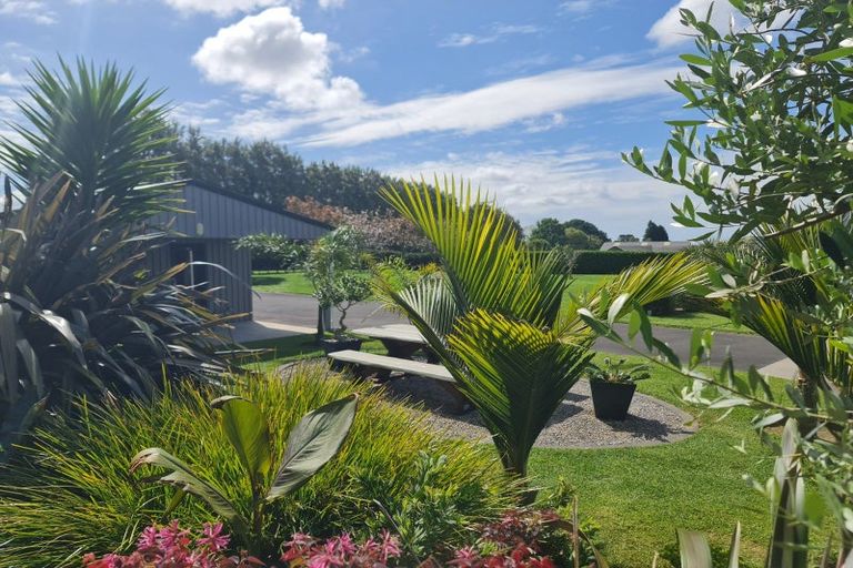 Photo of property in 55 Gasson Lane, Pyes Pa, Tauranga, 3173