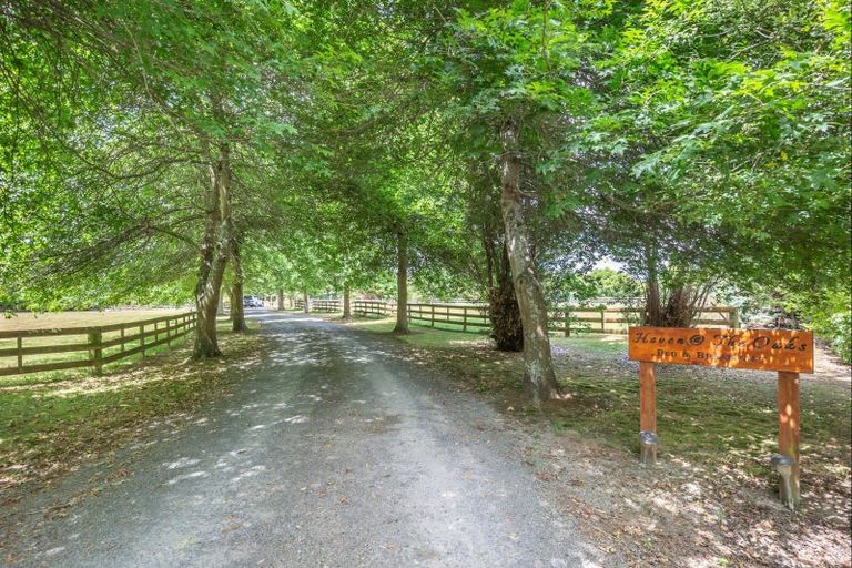 Photo of property in 153 Buller Road, Levin, 5571