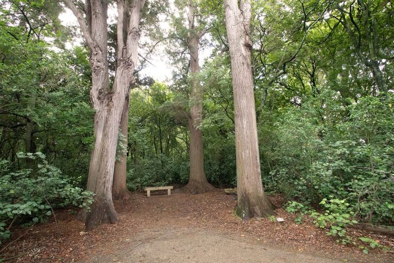 Photo of property in 70 Awahuri Road, Feilding, 4702