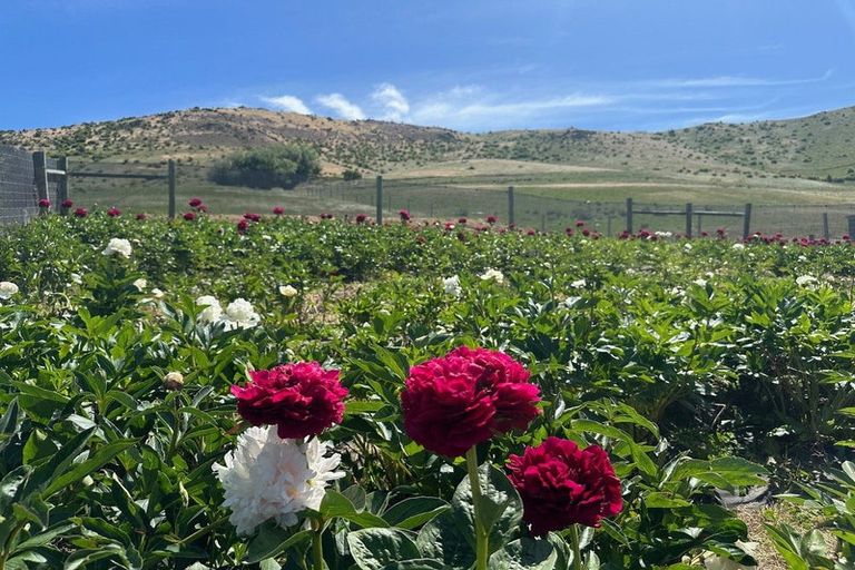 Photo of property in 218 Hawksburn Road, Nevis, Cromwell, 9384