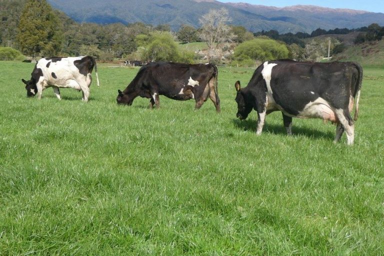 Photo of property in 738 Browns Creek Road, Inangahua, Reefton, 7895