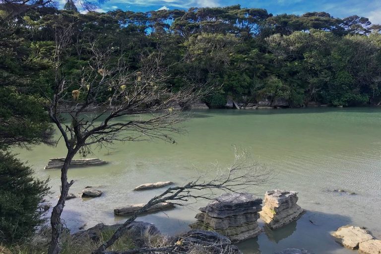 Photo of property in 503 Te Akau Wharf Road, Te Akau, Ngaruawahia, 3793