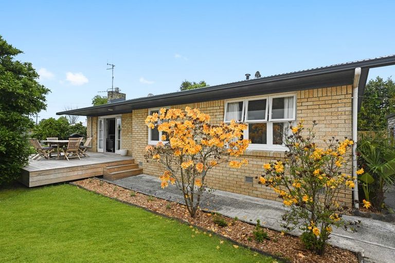 Photo of property in 50 Storey Avenue, Forest Lake, Hamilton, 3200