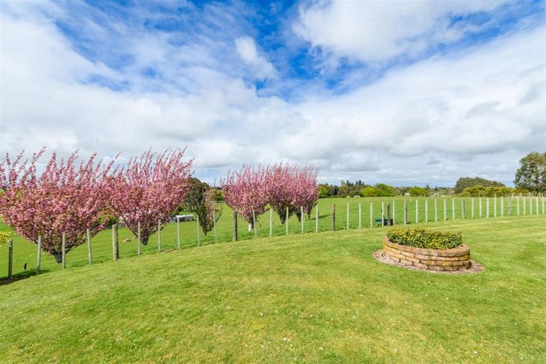 Photo of property in 197 Tutaenui Road, Marton, 4788