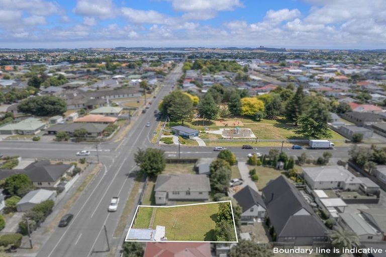 Photo of property in 181 Bath Street, Levin, 5510