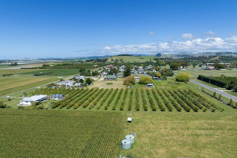 Photo of property in 17 Cemetery Road, Patutahi, Gisborne, 4072