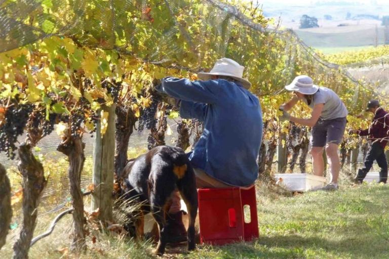 Photo of property in 208 Pukeora Scenic Road, Waipukurau, 4281