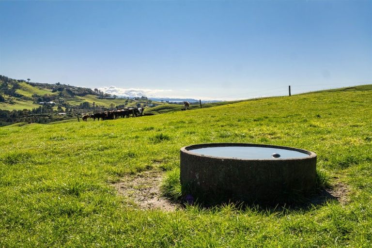 Photo of property in 164c Crawford Road, Wairoa, Tauranga, 3171