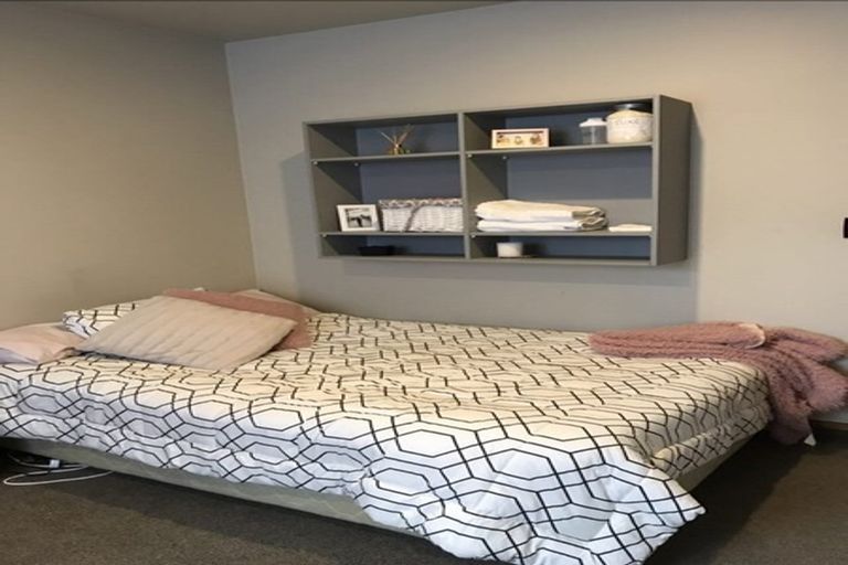 Photo of property in Includes 135, 137 Harbour Tce, 139 Harbour Terrace, North Dunedin, Dunedin, 9016