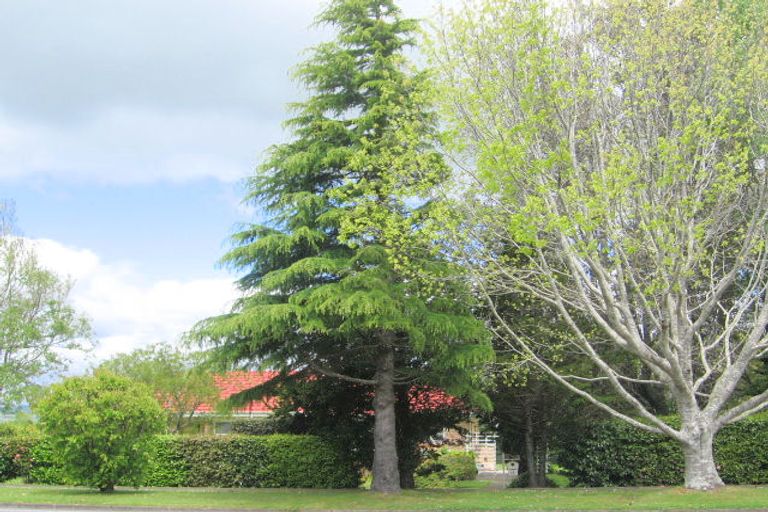 Photo of property in 18 Tauranga Road, Waihi, 3610