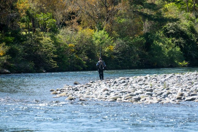 Photo of property in 11 Kokopu Street, Turangi, 3334