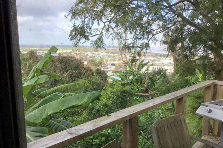 Photo of property in 119 Irishtown Road, Thames, 3500