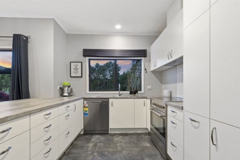 Photo of property in 51 Honeysuckle Lane, Ohauiti, Tauranga, 3112