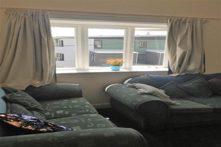 Photo of property in 17 Hankey Street, Mount Cook, Wellington, 6011