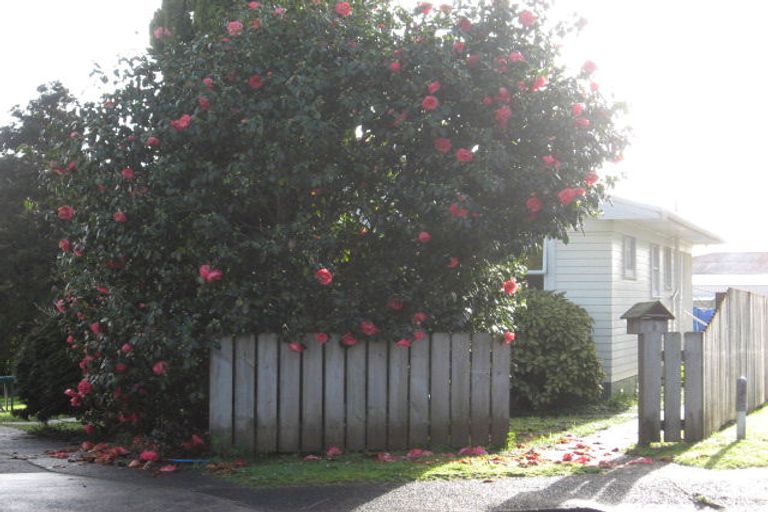Photo of property in 21 Crawford Crescent, Te Kamo, Whangarei, 0112