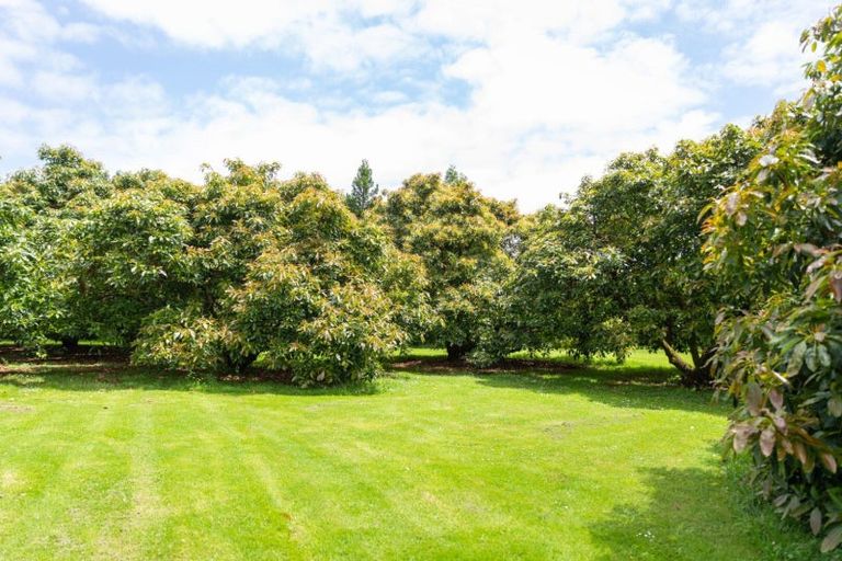 Photo of property in 42 Elmwood Road, Aongatete, Katikati, 3178