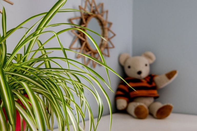 Photo of property in 12 Inanga Place, Ruatapu, 7883