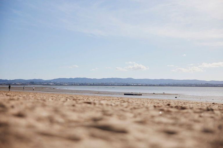 Photo of property in 16 Joan Street, Point Chevalier, Auckland, 1022