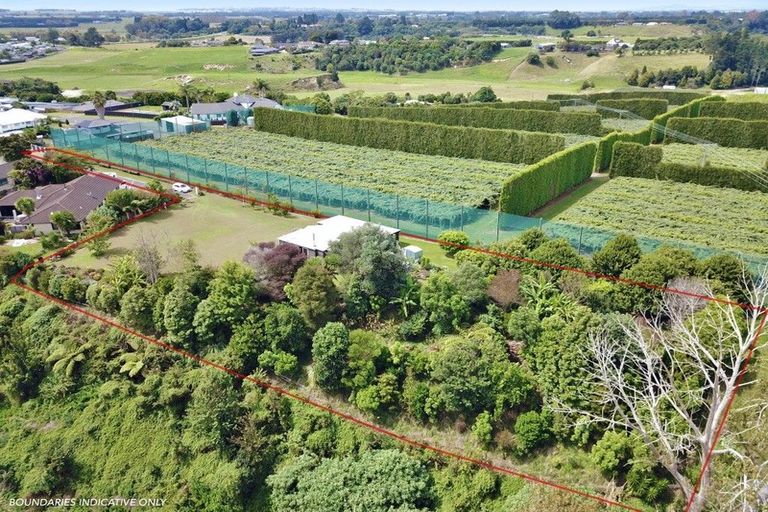 Photo of property in 3 Donelle Place, Te Puke, 3119