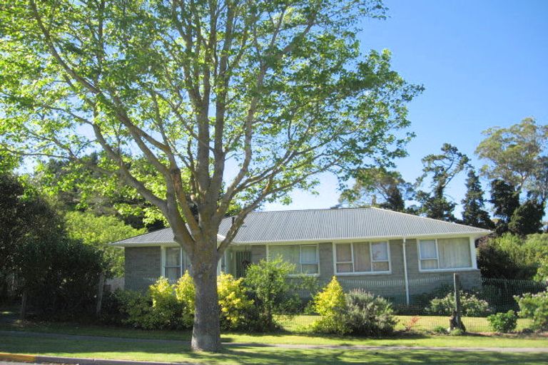 Photo of property in 223 Tyndall Road, Outer Kaiti, Gisborne, 4010