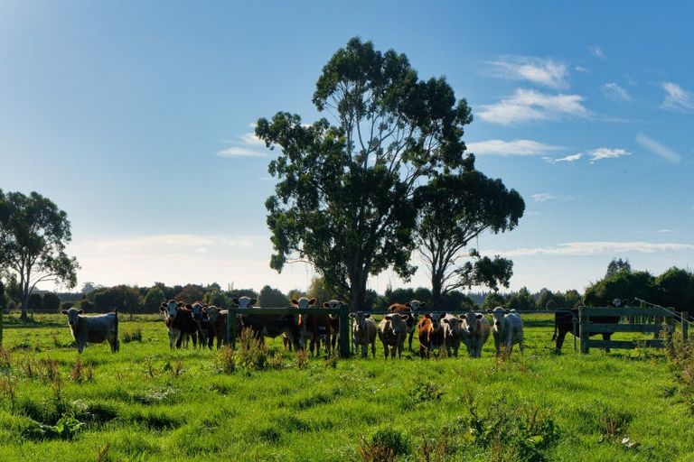 Photo of property in 386 Mount Fyffe Road, Kaikoura Flat, Kaikoura, 7371