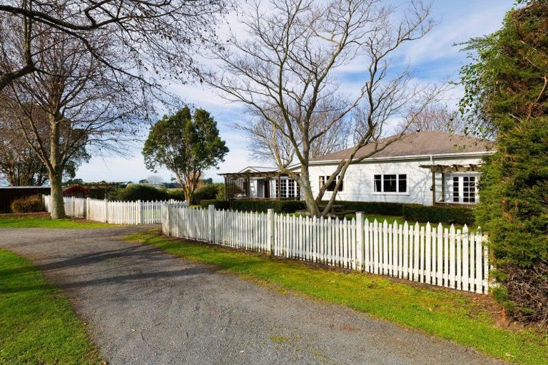 Photo of property in 208 Red Swamp Road, Kaikoura Flat, Kaikoura, 7371