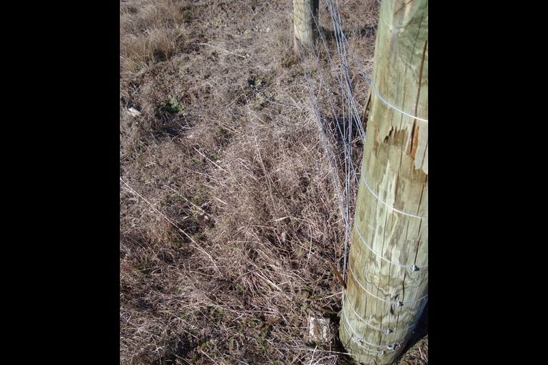 Photo of property in 14 Hardacre Place, Omarama, 9412