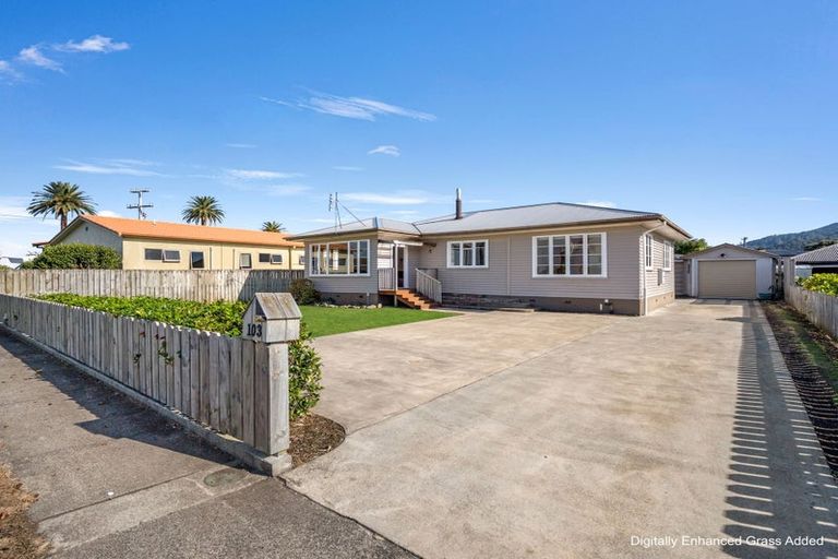 Photo of property in 103 Banks Street, Thames, 3500