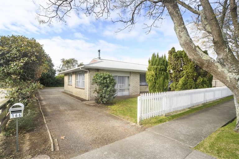 Photo of property in 166 Limbrick Street, Terrace End, Palmerston North, 4410