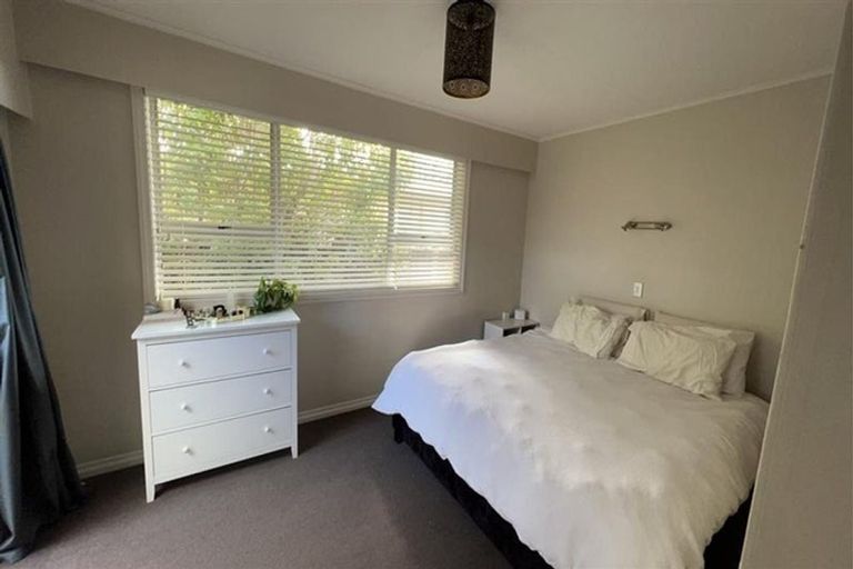 Photo of property in 38 Leefield Street, Blenheim, 7201
