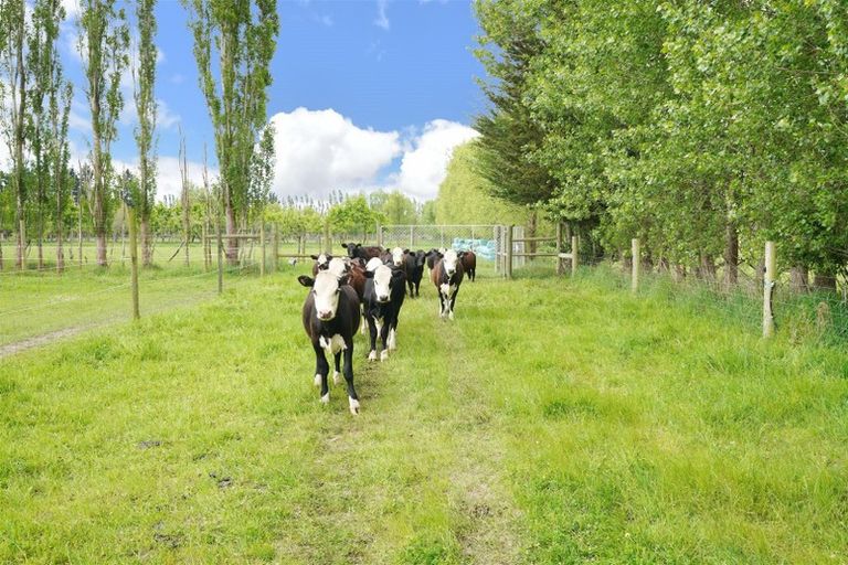 Photo of property in 420a Woodfields Road, Swannanoa, 7475