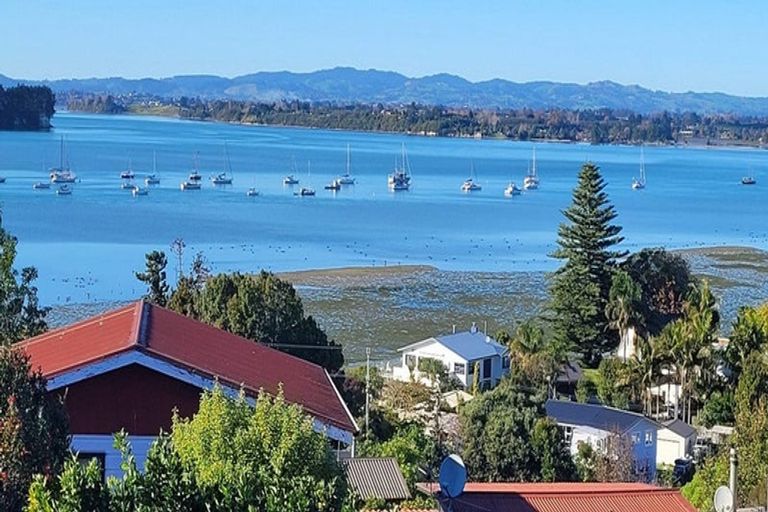 Photo of property in 53 Coppelia Avenue, Omokoroa, 3114