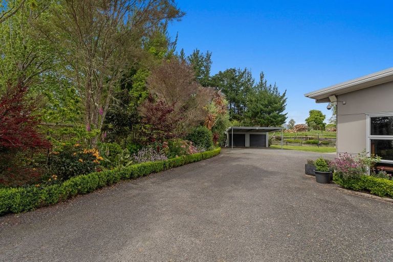 Photo of property in 133 Hogg Road, Rotoma, Whakatane, 3192
