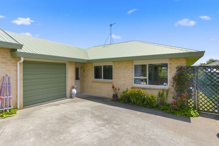 Photo of property in 61b Winchester Street, Levin, 5510
